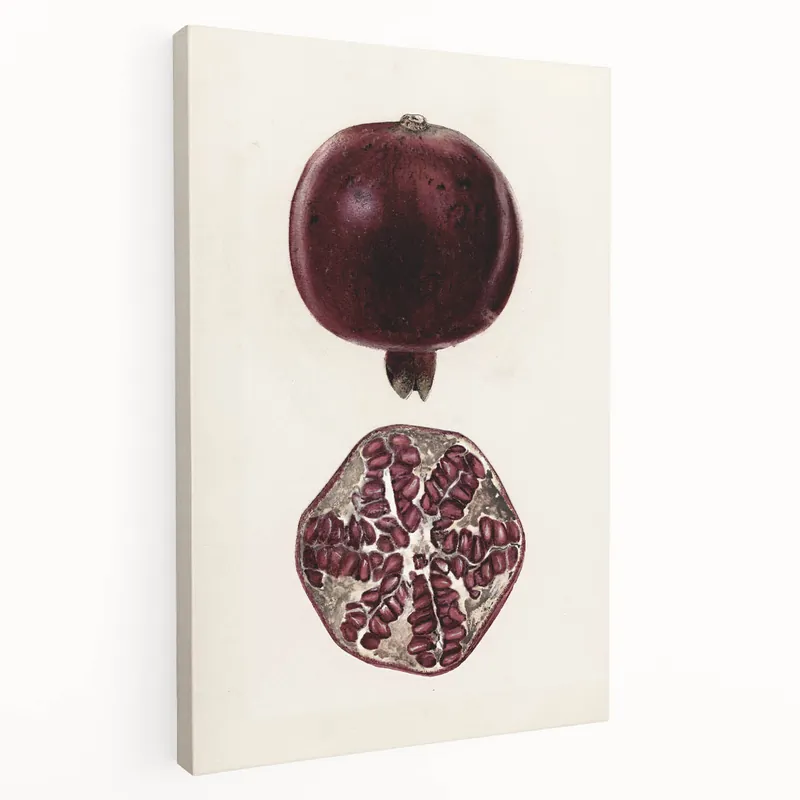 Buy Online Grunge Wall Art - Vintage Pomegranate Illustration Print - Retro Grunge Decor