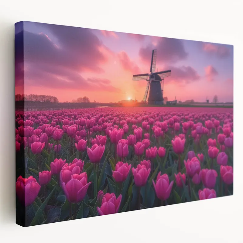 Tulip Field Artwork - Pink Tulips and Dutch Windmill at Sunset In Demand