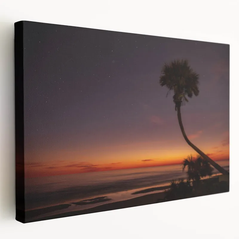 Holiday Sale Daytona Wall Art - Tranquil Palm Tree at Twilight by the Ocean