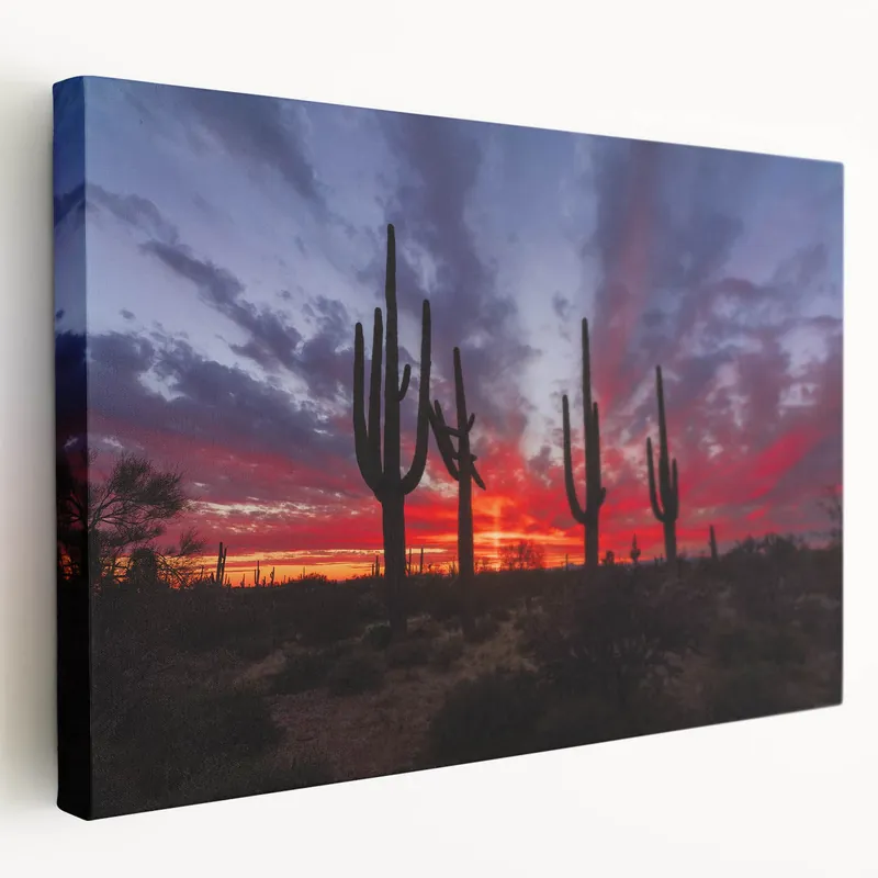 Place Order Southwestern Decor Art - Fiery Sunset Over Arizona Cactus Landscape