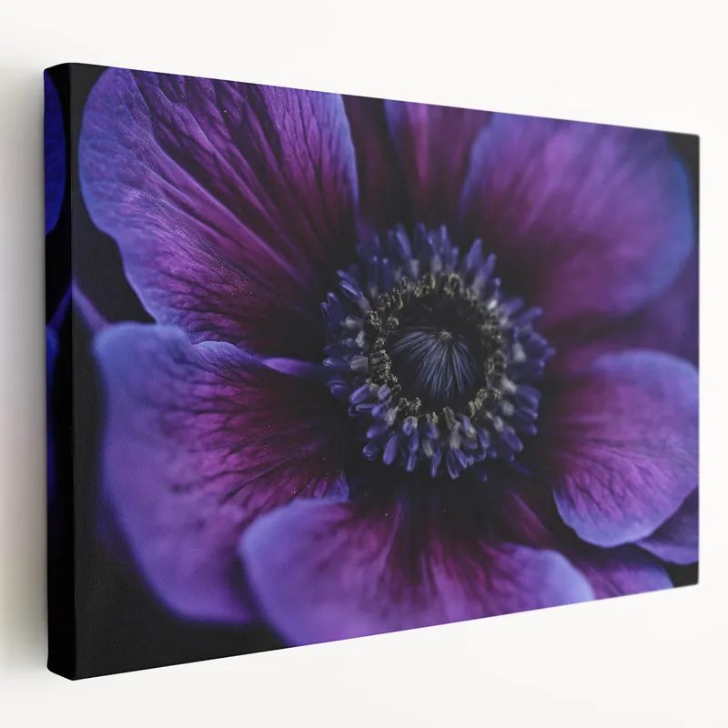Vivid Purple Floral Wall Art: Botanical Close-Up Nature Canvas Print Clearance