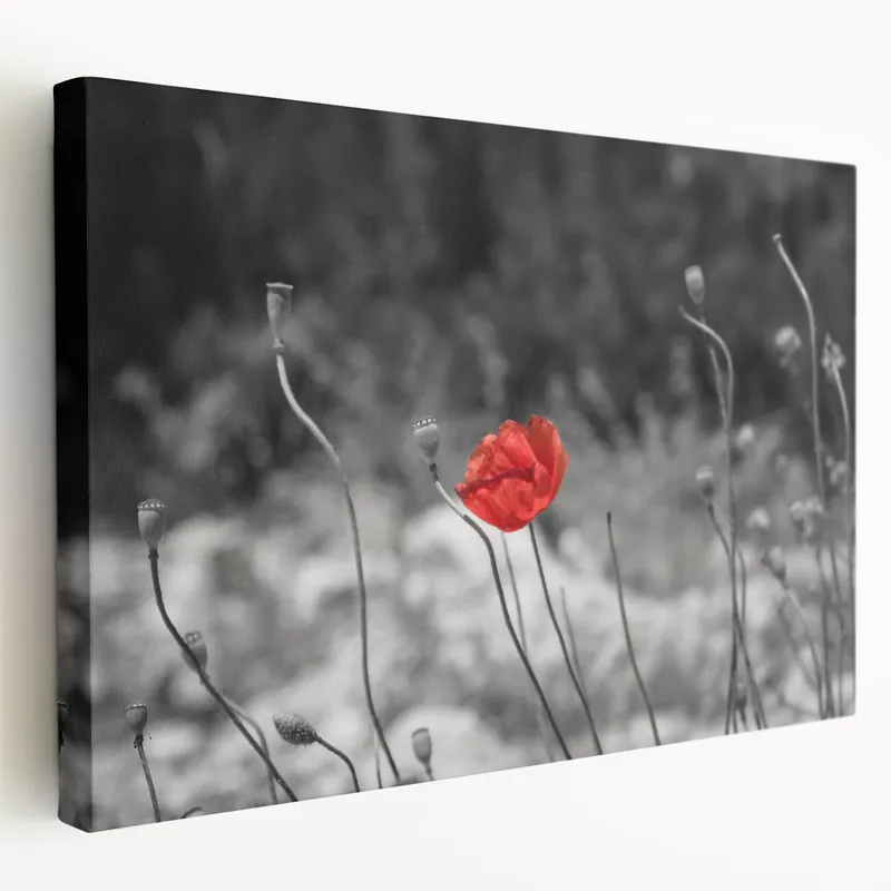Minimalist Red Poppy Flower Art – Botanical Wall Art for Modern Homes Factory Price