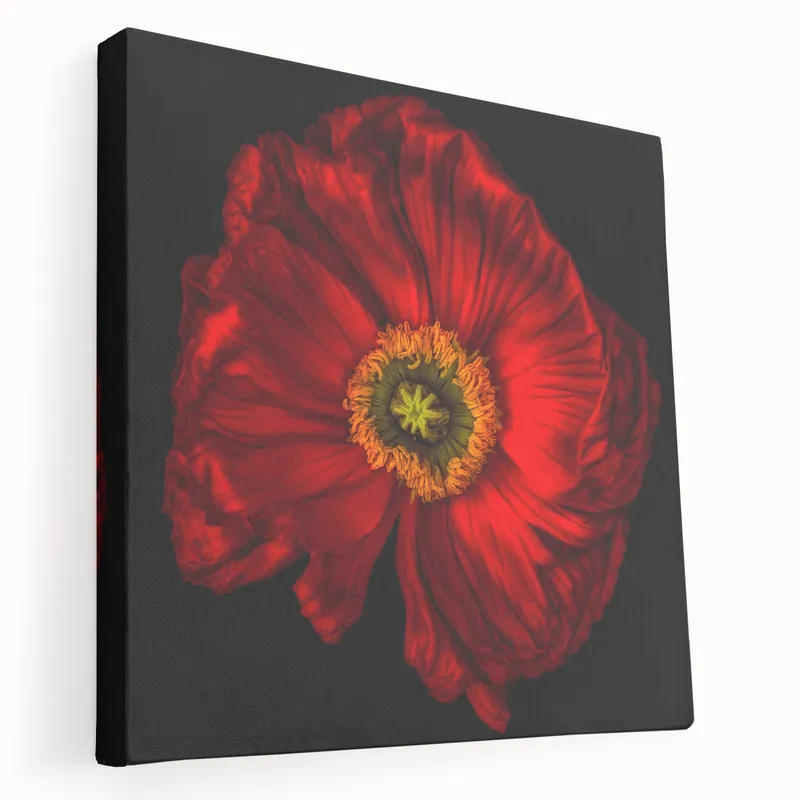 Flash Sale Bold Red Poppy Blossom Canvas – Modern Floral Wall Art for Home Decor