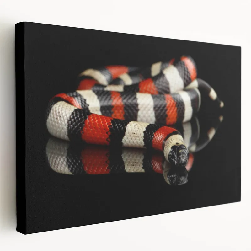 Time-Limited Majestic Snake Wall Art - Reptile and Serpent Canvas Print for Wildlife Lovers