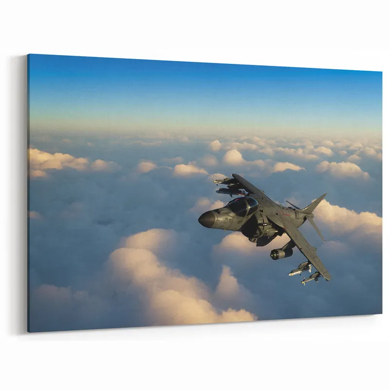 Stealth Jet in Sunset Sky - Modern Aviation Wall Art for Enthusiasts Premium