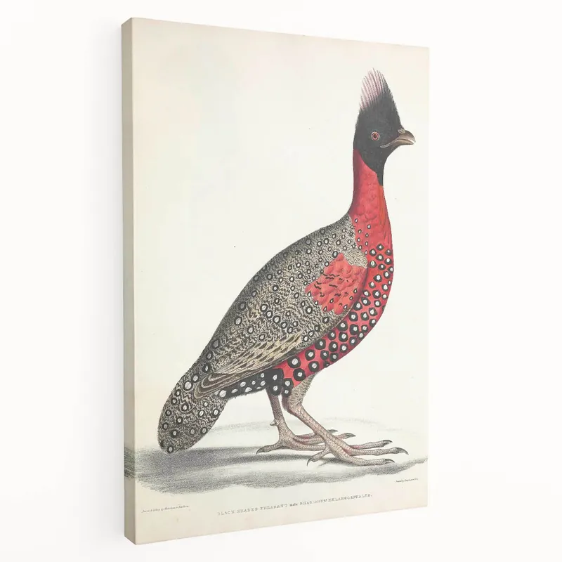 Vintage Animal Art - Handcrafted Pheasant Illustration for Home Decor Premium