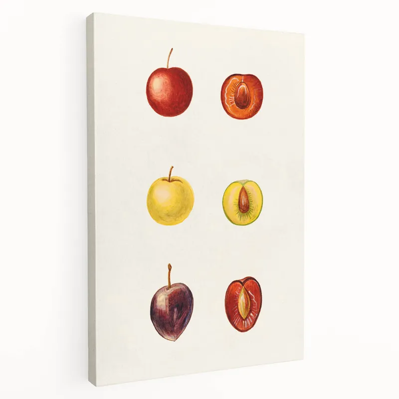 Vintage Fruits Wall Art – Fruit Art Prints for Kitchen Fruit Decor Popular