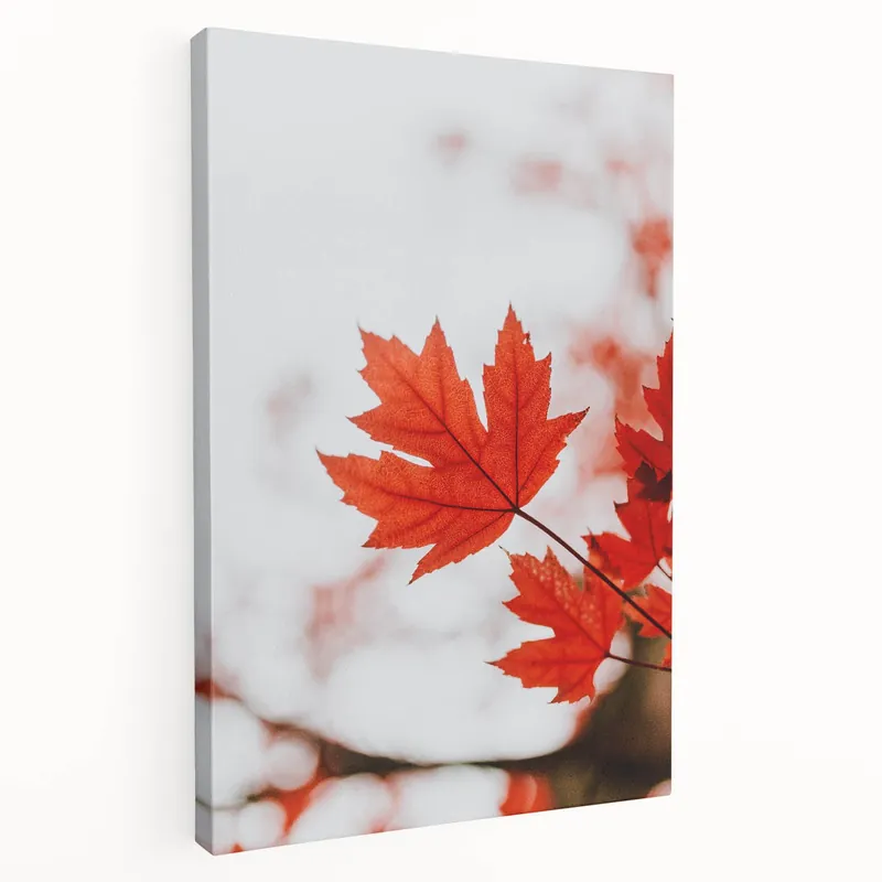 Vibrant Red Maple Leaves – Fall Wall Art for Seasonal Elegance Professional Grade