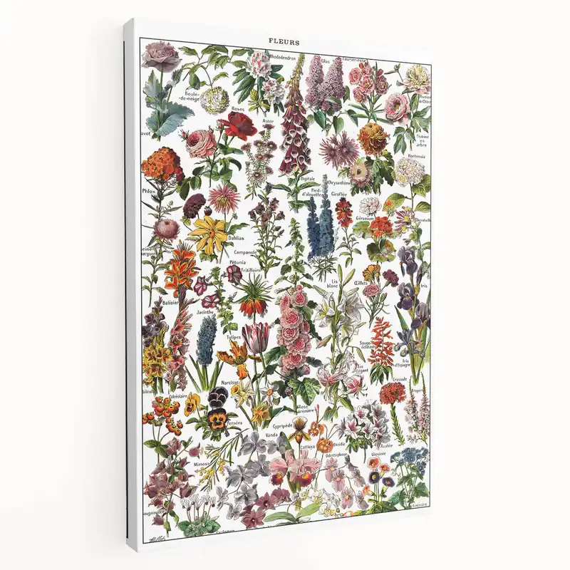 Top Pick Vintage Botanical Art Print – Stunning Floral Collection