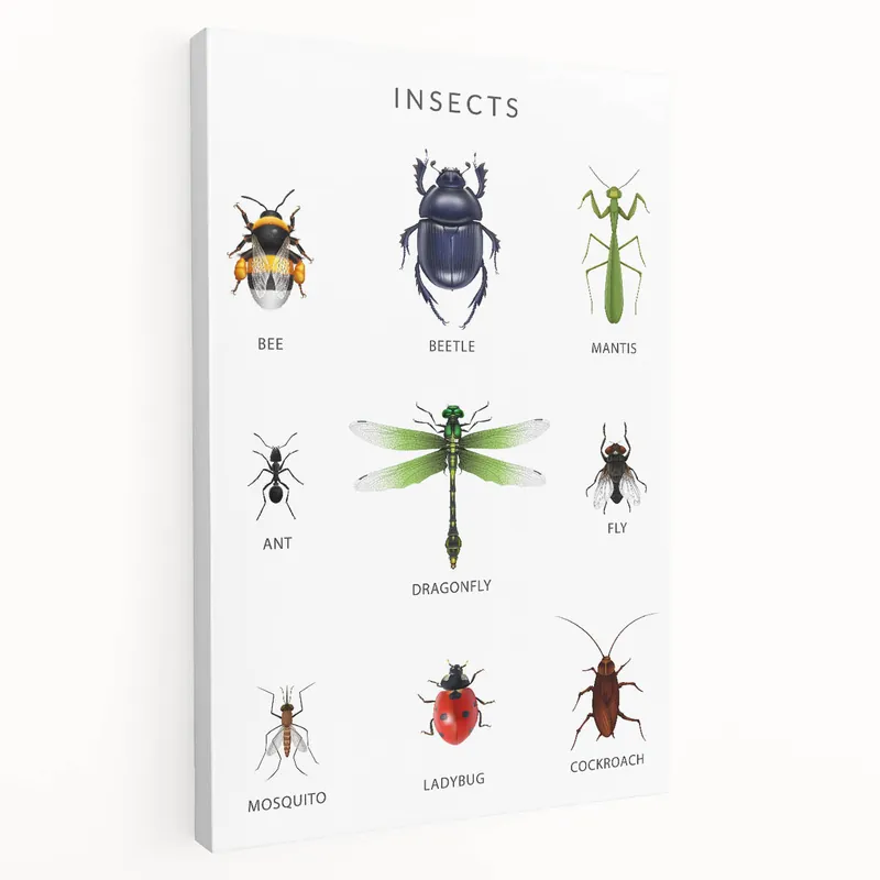 Crafted Insects Kids Educational Wall Art - Learning Poster for Classrooms