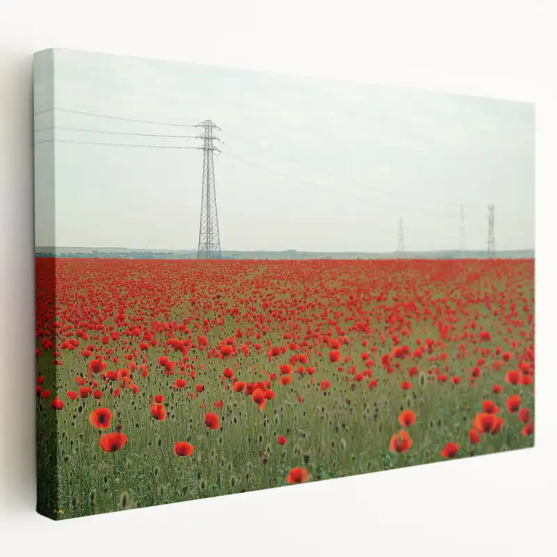 Worldwide Shipping Poppy Field Countryside Wall Art – Vibrant Rural Landscape Canvas Print