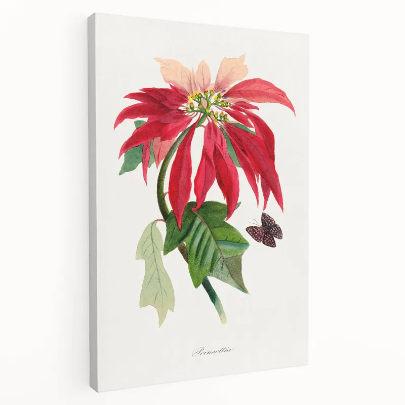 Top Pick Romanticism Art - Poinsettia Flower Painting with Historical Elegance