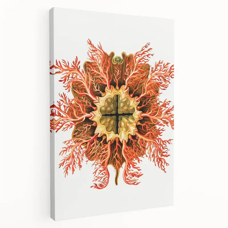 Modern Wall Art: Vibrant Vintage Tunicate Illustration – Unique Botanical Decor Instant Buy