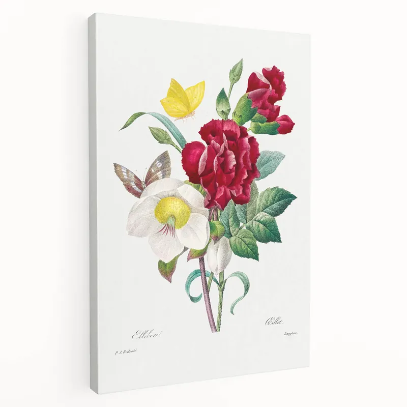 Neoclassical Art Print of Hellebore and Oeillet by Redouté - Floral Decor Seasonal Sale