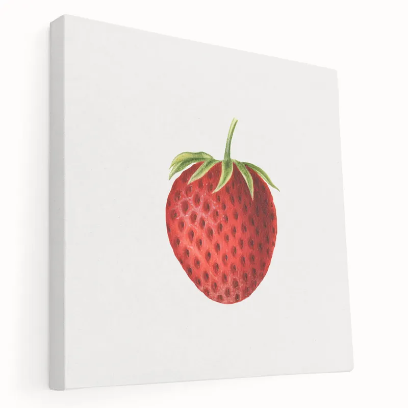 Vintage Botanical Strawberry Print | Realism Strawberry Art Illustration Authentic
