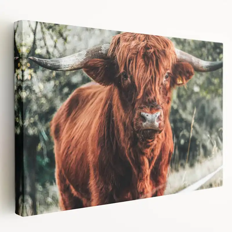 Warranty Included Rustic Highland Cow Wall Art – Farmhouse Country Style Decor