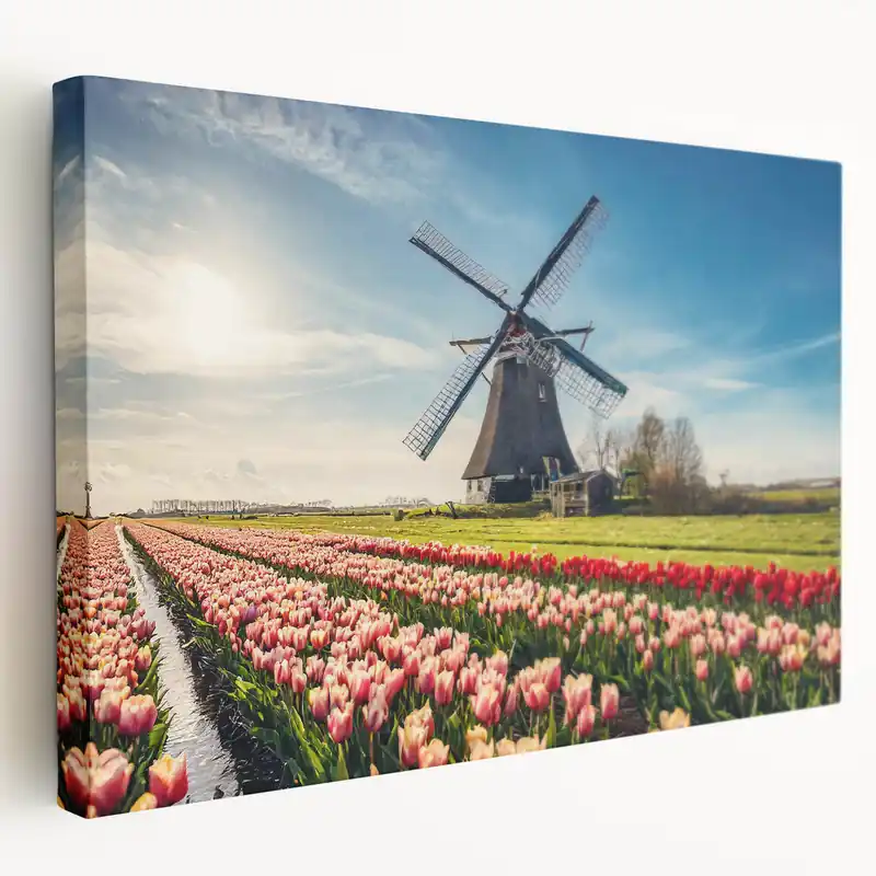 Windmill Wall Art - Tulip Fields and Dutch Windmill in Spring Time-Limited