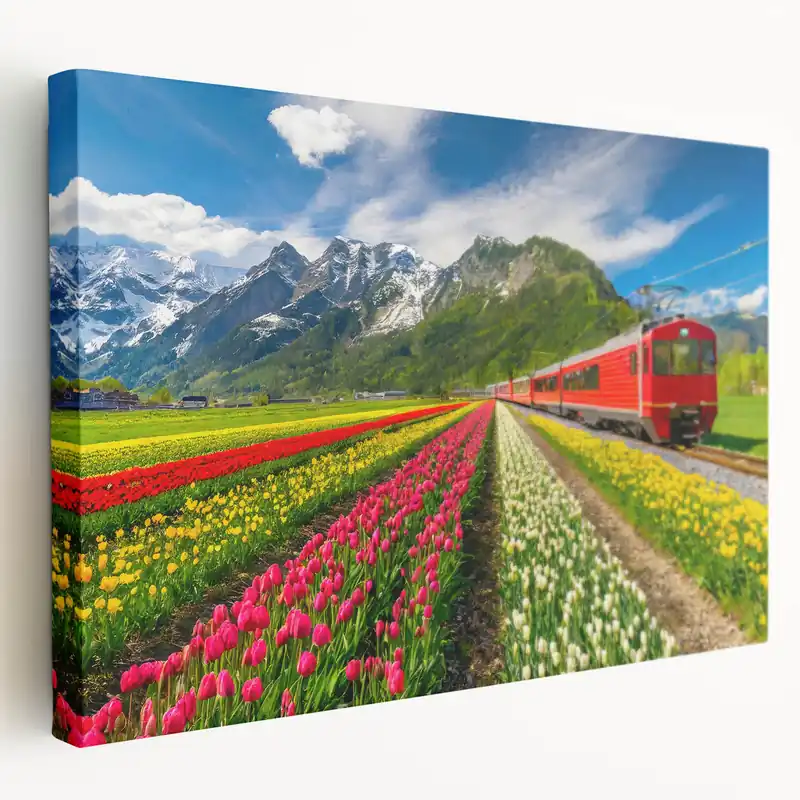 Final Sale Netherlands Travel Poster - Scenic Tulip Fields and Red Train