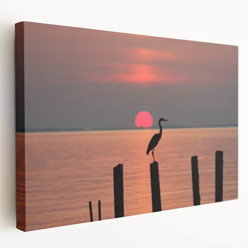 Chesapeake Bay Framed Art - Stunning Sunset Bird Silhouette in Wall Decor Price Drop