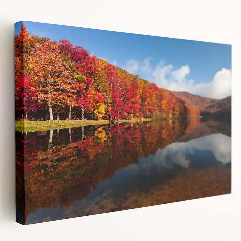 One Day Deal Virginia Nature Art - Autumn Leaves Reflection Scenic Photography Print