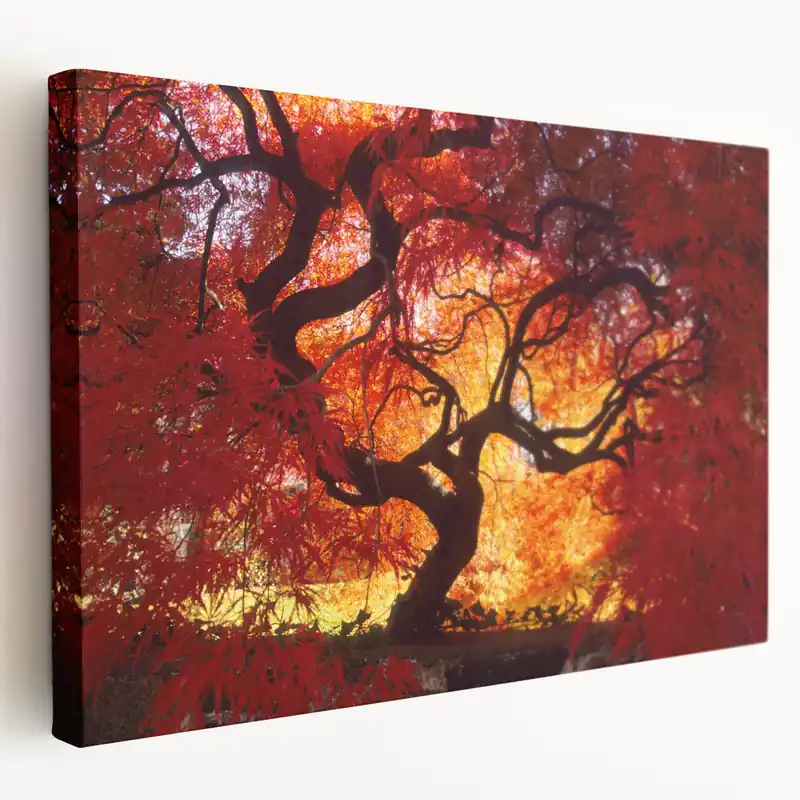 Free Returns Connecticut Wall Art - Fiery Red and Orange Tree Autumn Leaves Connecticut Prints