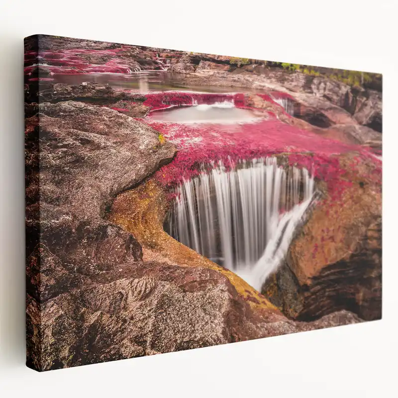 Colombia Photography Art - Caño Cristales Waterfall Vibrant South America Decor Warranty Included