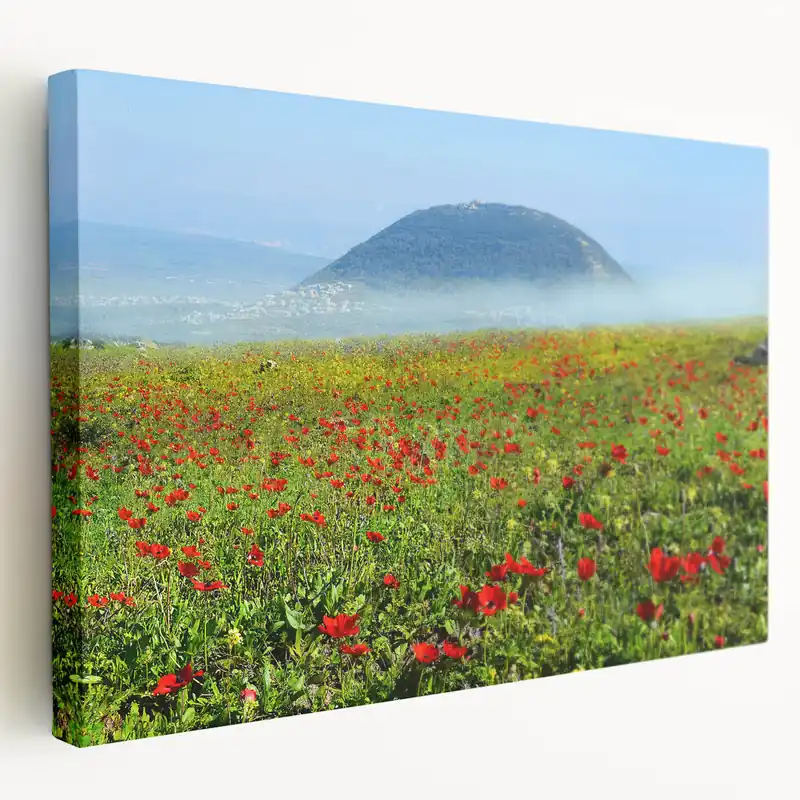 Modern Scenic Israel Photography – Blooming Flowers and Mountain View Wall Art