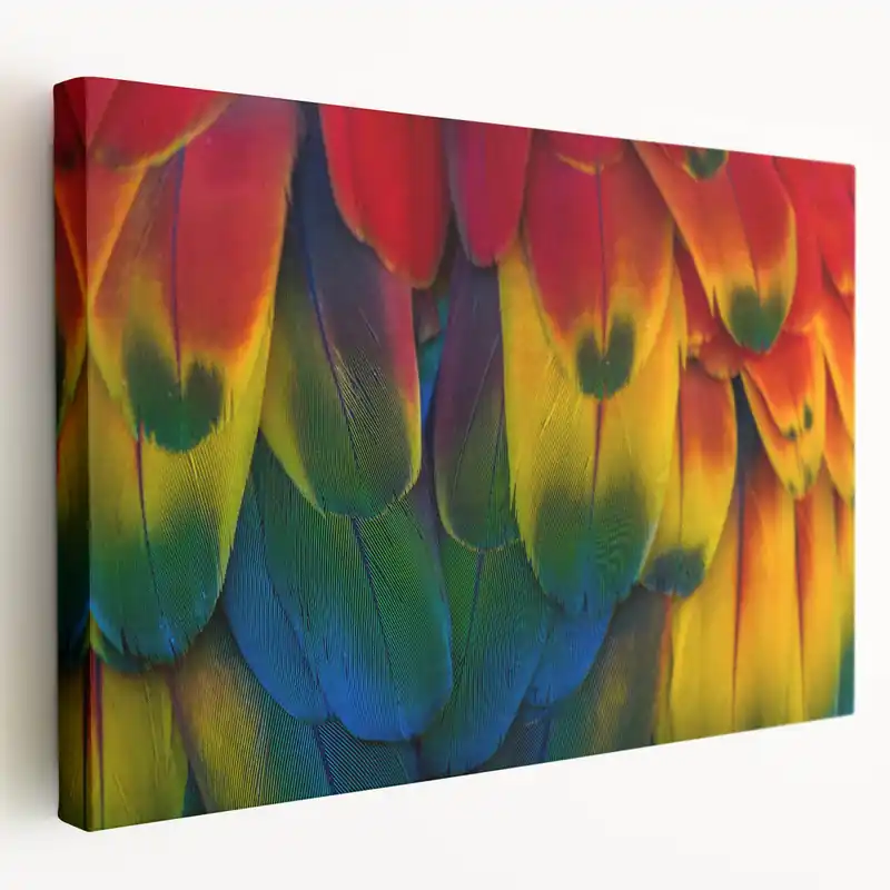 Vivid Costa Rican Parrot Feathers Canvas - Colorful Bird Art Mega Sale