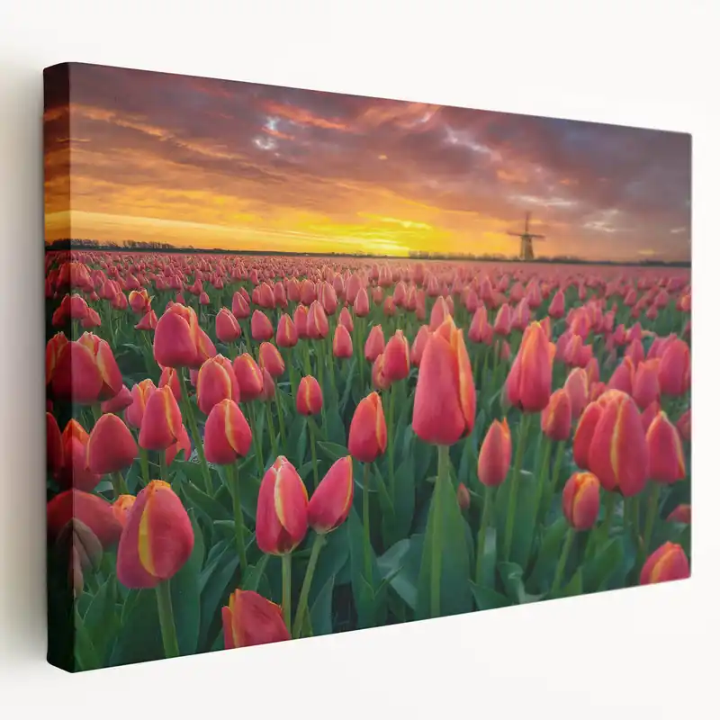Sunset Tulip Field – Vibrant Tulip Wall Art for Modern Home Decor Save Now