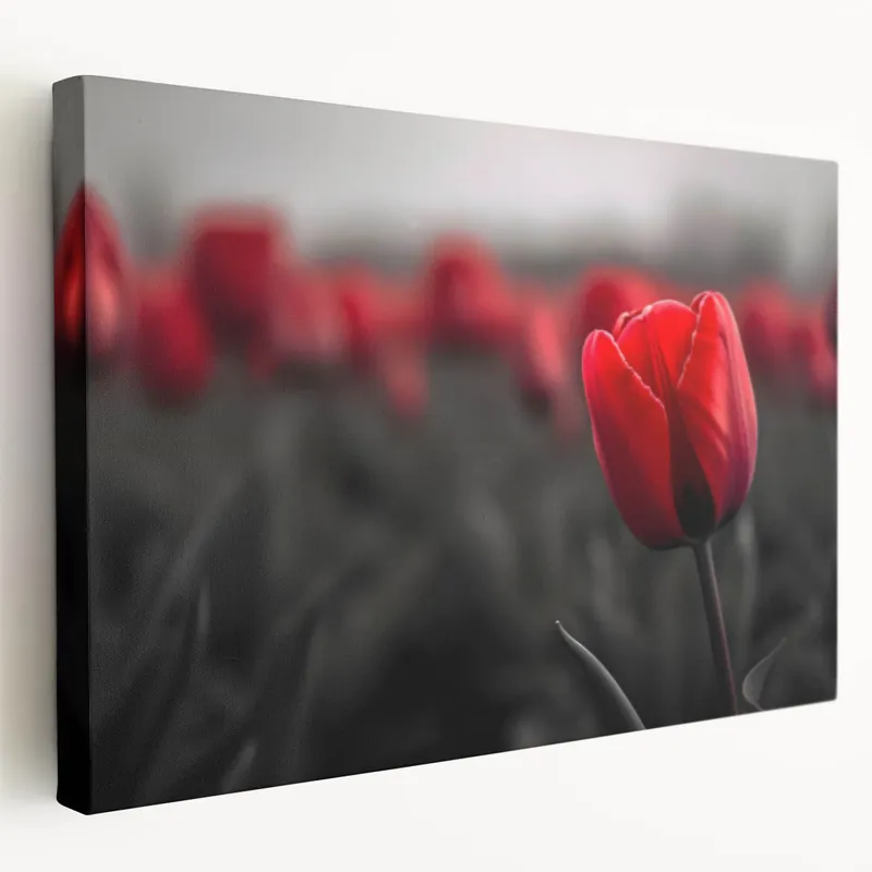 Top Rated Elegant Tulip Wall Art - Stunning Red Tulip Canvas Prints for Home Décor