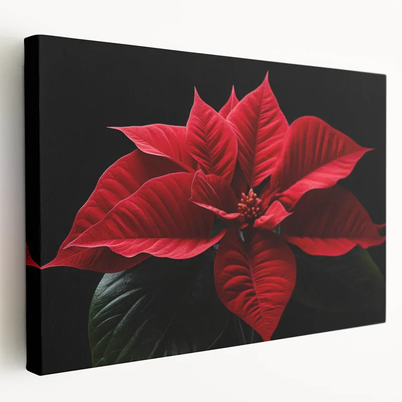 Vibrant Red Poinsettia Wall Art - Bold Botanical Holiday Canvas Decor Popular