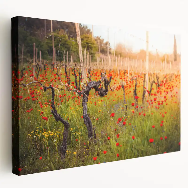 Georgia Landscapes - Vineyard in Bloom Georgia Scenery Canvas Art Hassle-Free Returns