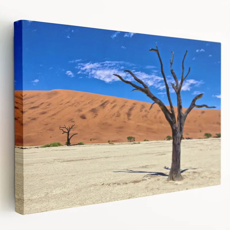 Vivid Namibia Canvas Art - African Desert Wall Art & Namibian Landscape Fast Shipping