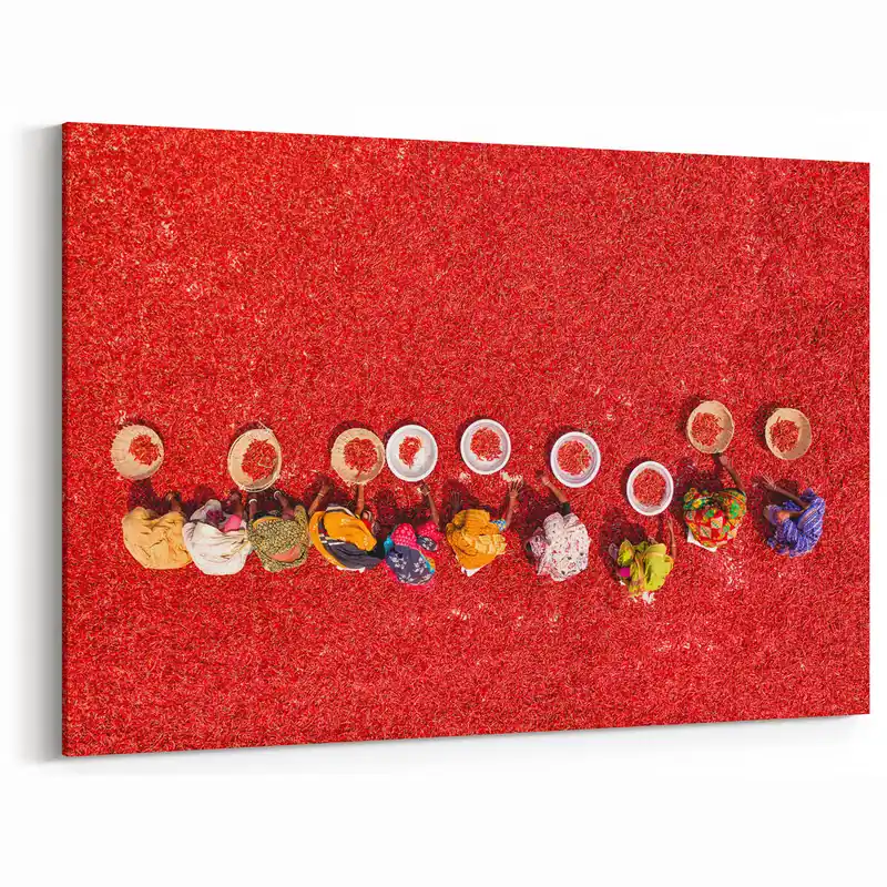 Colorful Chili Harvest in Bangladesh - Vibrant Cultural Canvas Wall Art Price Drop