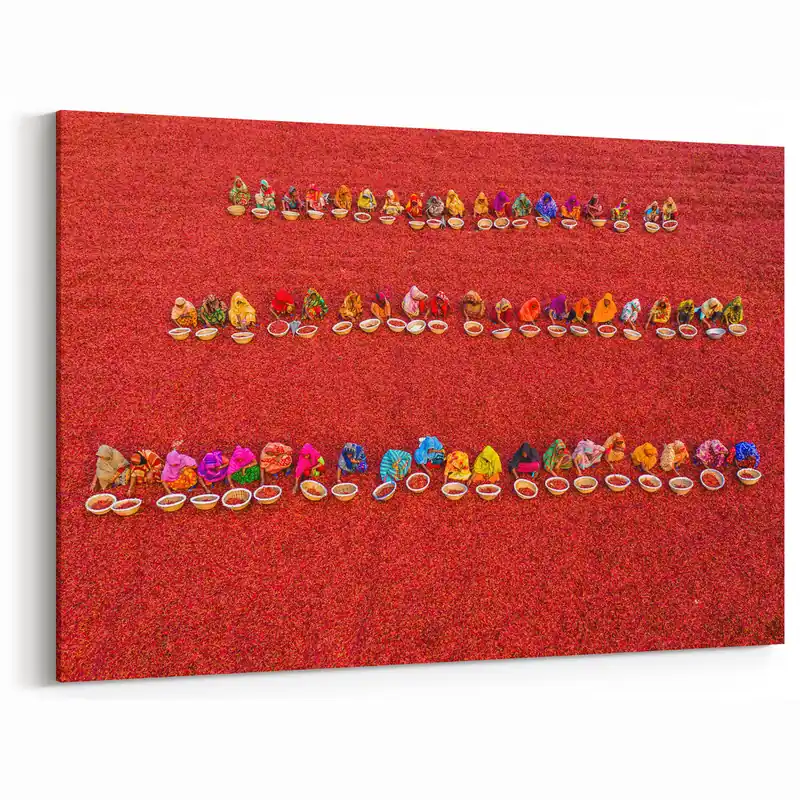 Vibrant Bangladesh Chili Harvest - Colorful Cultural Canvas Wall Art In Demand