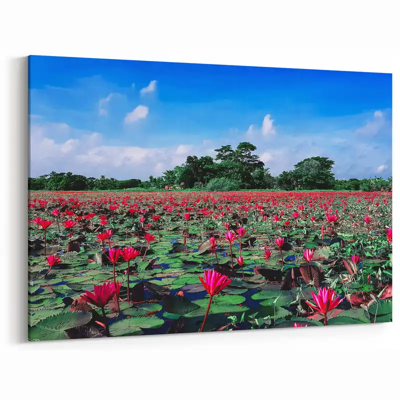 Scenic Bangladesh Water Lilies Field - Vibrant Nature Canvas Wall Art Buy Online