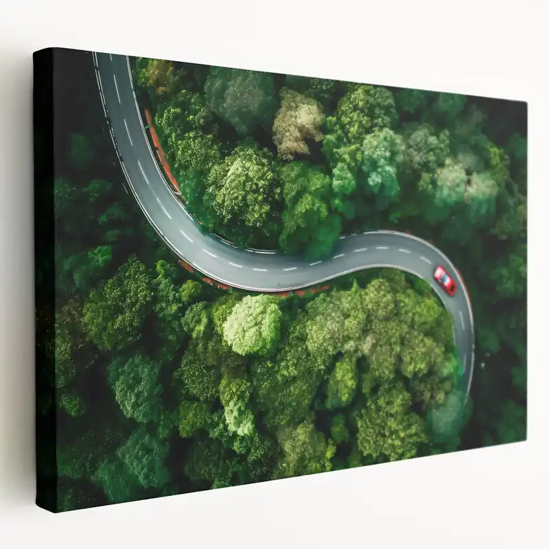 Curved Forest Road Art - Aerial Scenic Drive Canvas - Nature Wall Decor Deal
