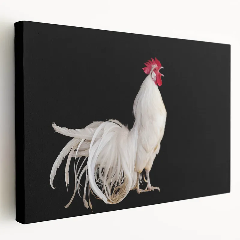 Graceful White Rooster - Stunning Chicken Wall Art for Modern Decor Certified