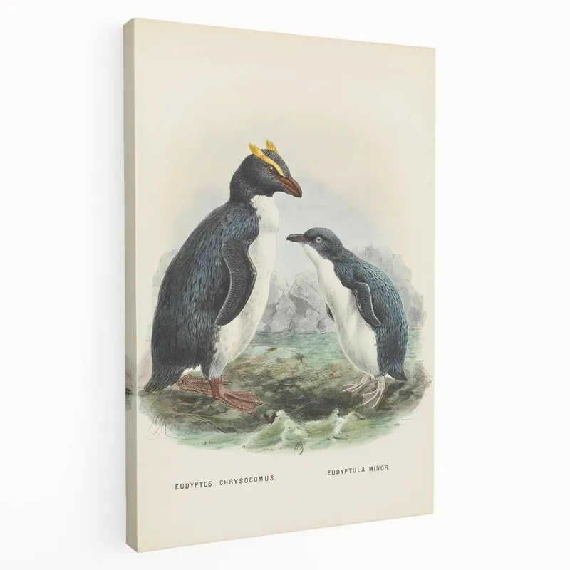 Vintage Animal Art – Penguin Illustration Print – Retro Animal Wall Decor Warranty Included