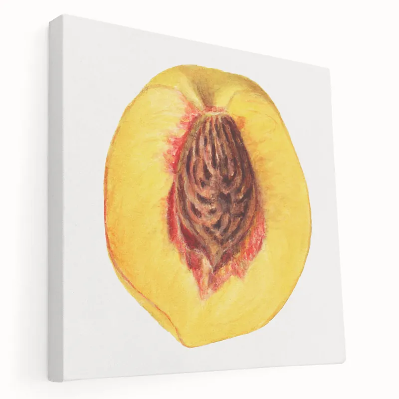 Juicy Peach Fruit Art Prints – Stunning Kitchen Fruit Decor Canvas Budget