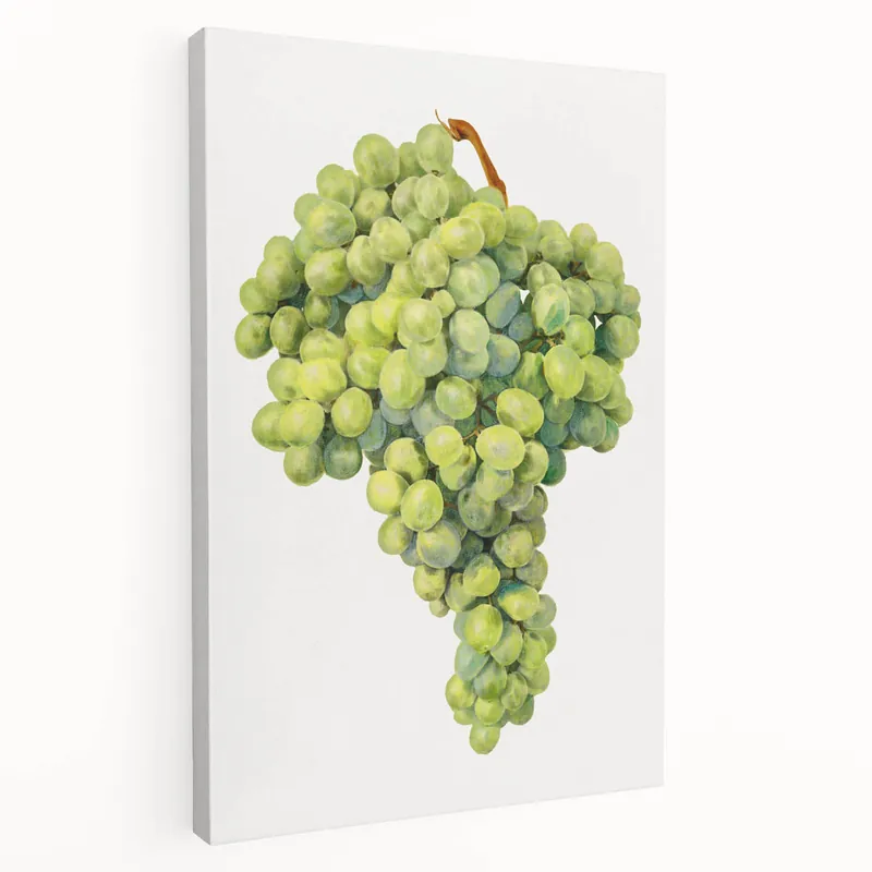 Green Grapes Fruit Art – Fruit Canvas Art for Kitchen Decor Fan Favorite