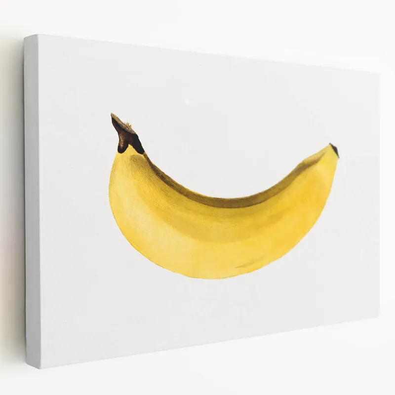 Warranty Included Fruit Illustration Prints – Minimalist Banana Wall Art Decor