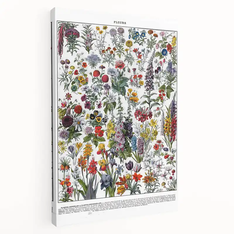 No Minimum Order Vintage Floral Illustration - Nature Elements Wall Art Print