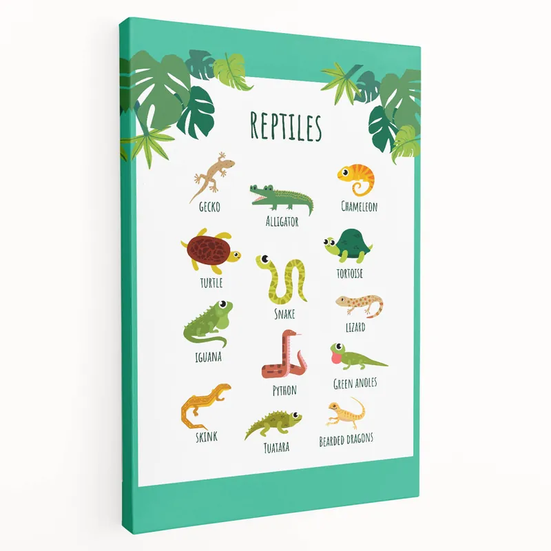 Reptiles Kids Educational Wall Art – Learning Poster Top Pick