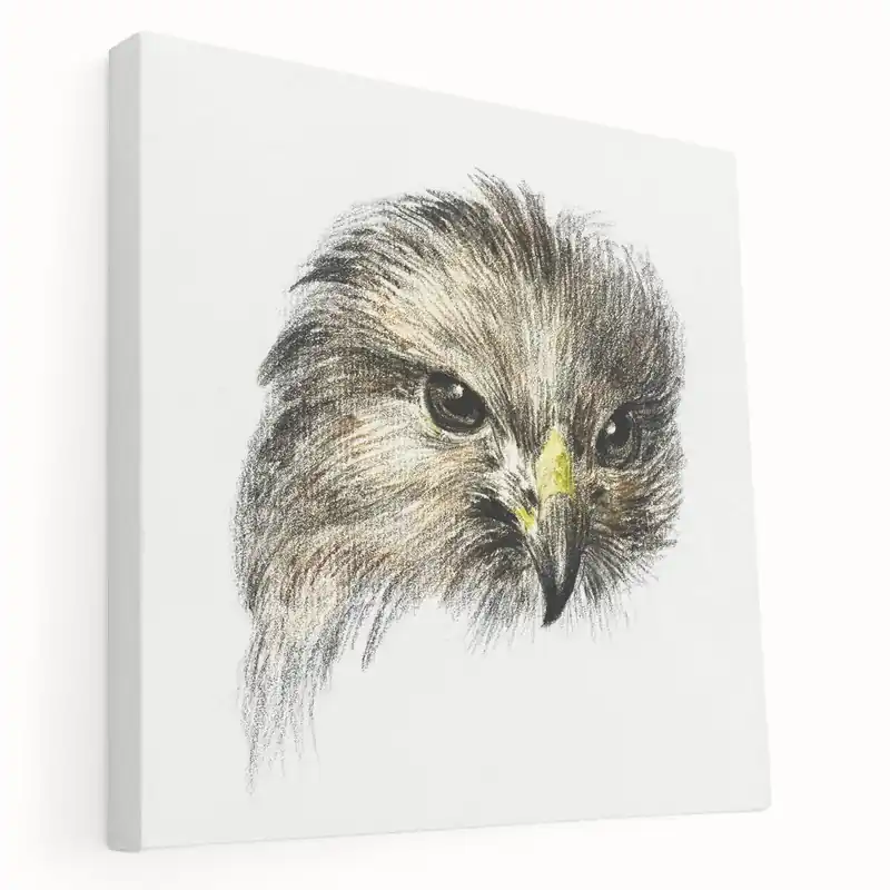 Budget Head of a Bird of Prey by Jean Bernard - Romantic Wildlife Art Print