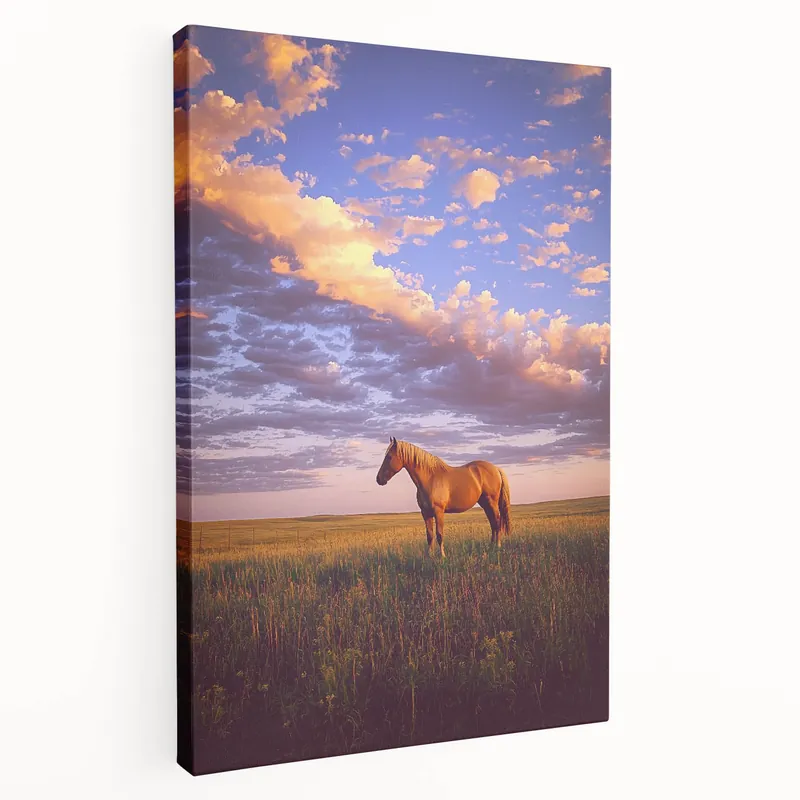 Best Choice Golden Horse at Sunset Wall Art – Pastoral Countryside Landscape Print