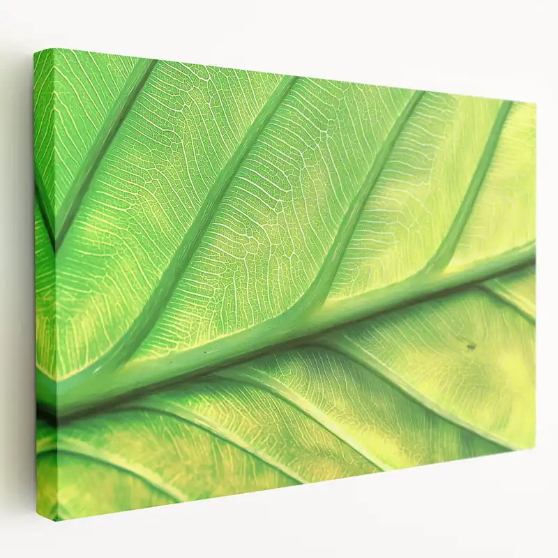 Nature Inspired Wall Art - Close-Up of Bright Green Leaf Veins Order Now