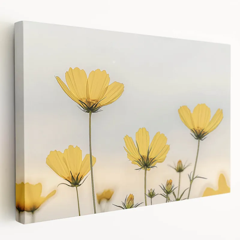Free Delivery Floral Wall Art - Nature Close-Up Prints of Blooming Yellow Flowers