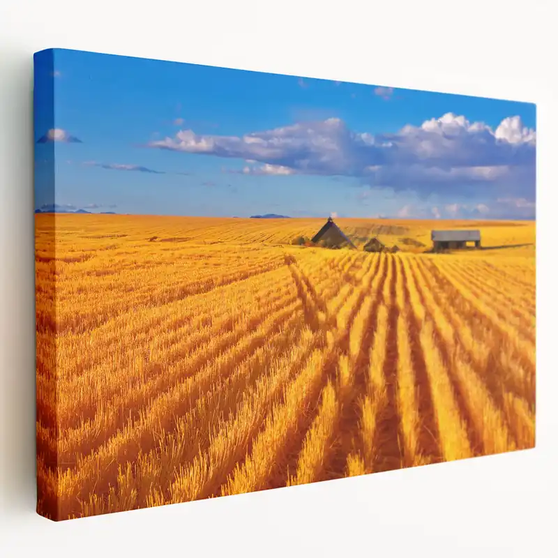 Montana Wall Art - Stunning Montana Canvas Prints of Golden Wheat Fields Express Delivery