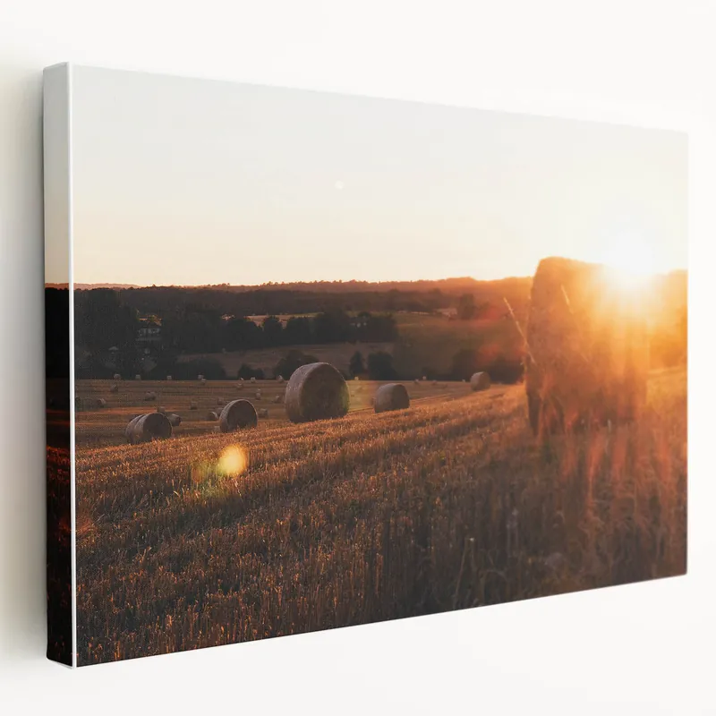 Rustic Farm Landscape Wall Art – Sunlit Hay Bales in a Golden Field Fan Favorite